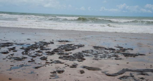 O consumidor que desistir de viajar em decorrência das manchas de óleo nas praias não arcará com multa, informa o Procon-SP | Foto: governo de Sergipe